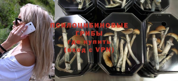 скорость Алзамай