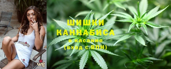 скорость Алзамай