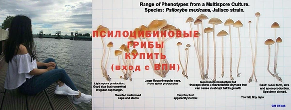 кокаин перу Алексин