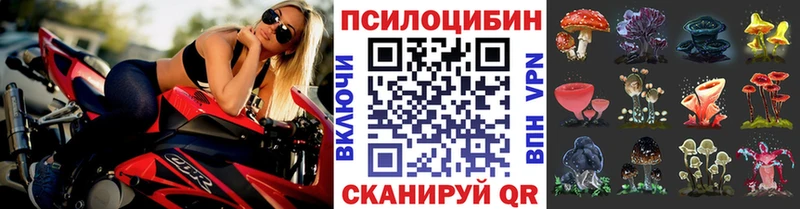 Галлюциногенные грибы MAGIC MUSHROOMS  дарк нет клад  Ревда 